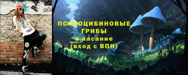 мдма Богородск